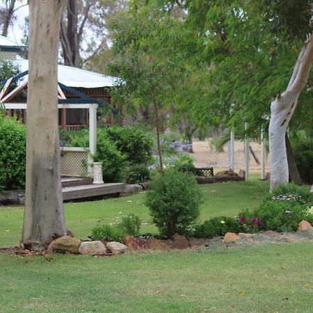 Rosebank Homestead And Farmstay Dalby Exterior foto