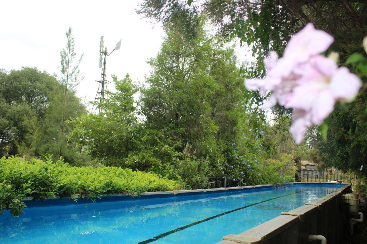 Rosebank Homestead And Farmstay Dalby Exterior foto